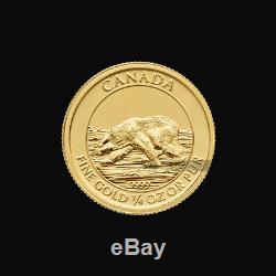 1/4 oz 2013 Canadian Polar Bear Gold Coin