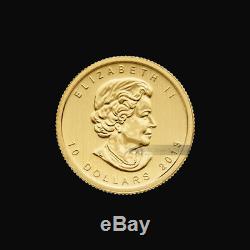 1/4 oz 2013 Canadian Polar Bear Gold Coin