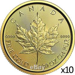 1 oz 10 x 1/10 oz 2019 Gold Maple Leaf Coin RCM. 9999 Au