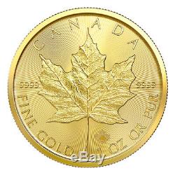 1 oz 2020 Canadian Maple Leaf Gold Coin