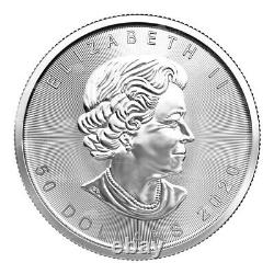 1 oz 2020 Canadian Maple Leaf Platinum Coin