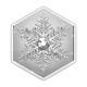 1 Oz 2023 Snowflake Shaped Coin Royal Canadian Mint