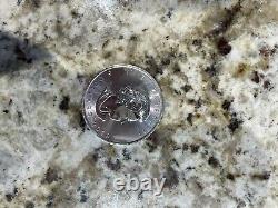 1 oz Canadian Lucky Dragon High Relief. 9999 SILVER Bullion Coin
