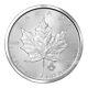 1 Oz Random Year Canadian Maple Leaf Platinum Coin