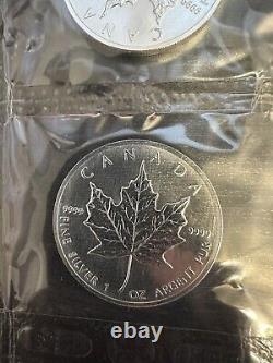10 2001 Canada Silver Maple Leafs Premium Low Mintage Bullion. 9999 10 Troy Oz