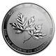 10 Oz 2020 Silver Magnificent Maple Leaf Coin Bullion Rcm 9999 Free Shipping