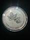 10 Oz 2021 Magnificent Maple Leaves Silver Coin Royal Canadian Mint