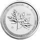 10 Oz 2021 Magnificent Maple Leaves Silver Coin Royal Canadian Mint