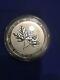 10 Oz Silver 2021 Magnificent Maple Leaves Canadian Uncirculated Coin