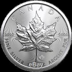 100 oz 100 x 1 oz 2019 Silver Maple Leaf Coin RCM. 9999 Ag
