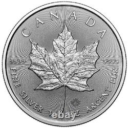 10x1oz New 2024 Canadian Maple Leaf Pure Silver Coin. 999-Brilliant Uncirculated