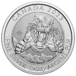 14pc Tube 2 oz 2023 RCM Sabre-Tooth Cat Canadian Mint 9999 Fine Silver Coins