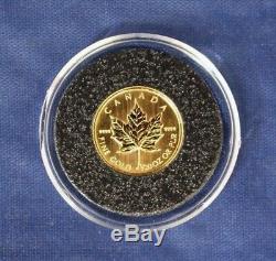 1995 Canada 1/20oz Gold $1 Maple Leaf coin in Capsule (P9/13)