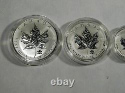 2004 Canadian Silver Maple Leaf Privy Mark set