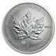2009 Canada $5 Brandenburg Gate Privy Silver Maple Leaf 1oz. 9999 Silver Coin