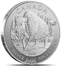 2013 Bison 1 oz. 9999 Silver Coins BU From Mint Tube of 25
