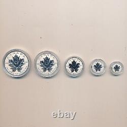 2013 ROYAL CANADIAN MINT 25TH ANNIVERSARY SET (5) With BOX & COA SHIPS FREE