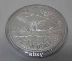 2014 50$ Canadian 5oz Silver Swimming Beaver Coin (B218)