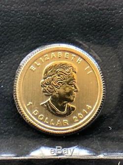 2014 Canada 1/20 oz Gold Maple Leaf BU Still in Original Mint Packaging