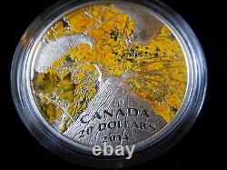 2014 Canada $20 Fine Silver Coin Maple Canopy Autumn Allure