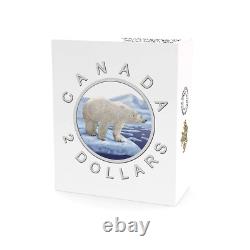 2016 $2 Coloured Big Coin Polar Bear Pure Silver Coin Royal Canadian Mint