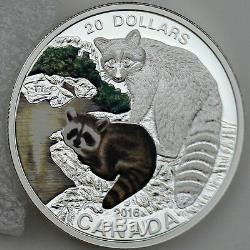2016 $20 Baby Animals Baby Raccoon, 1 oz 99.99% Pure Silver Color Proof Coin