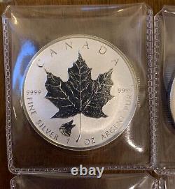 2016-2017 Maple Leaf Wolf Bear Cougar Moose Privy 1oz. 9999 Silver coins Canada