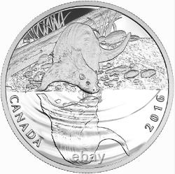 2016 Canadian $10 Reflections of Wildlife 3 coin. 9999 Silver Set