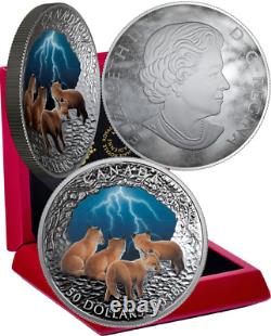2018 Stormy Night Nature's Light Show $50 5OZ Silver Proof Glow-Dark Coin Canada