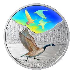 2019 $30 Majestic Birds in Motion Canada Geese Pure Silver Coin