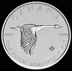 2020 2 oz Silver. 999 Fine Canada $10 Dollar Flying Goose Coin BU+