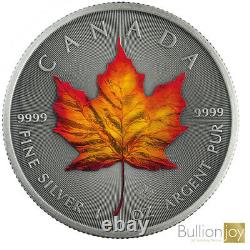 2020 Canada Maple Leaf Four Seasons Silver Coin Set