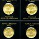 2020 Maplegram. 9999 Gold (1 Gram) 50 Cent Maple Leaf Rcm Assay Ecc&c, Inc
