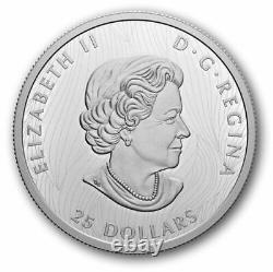 2021 Canada $25 Bold Bison Extraordinarily High Relief (EHR) Fine Silver Coin