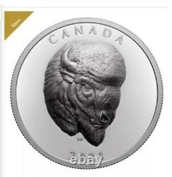 2021 Canada Bold Buffalo Bison Extraordinary High Relief 1 oz Silver Proof Coin