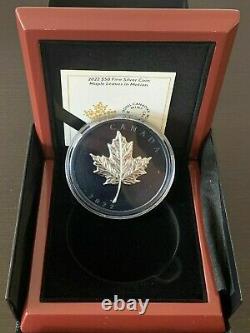2022 Blue Rhodium Maple Leaves in Motion $50 5OZ Pure Silver Proof Coin Canada