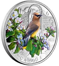 2022 CANADA $20 CEDAR WAXWING Colourful Birds 1oz. 9999 Pure Silver Coin