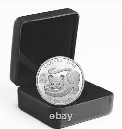 2022 canadian Lunar Tiger 1 oz. 999 silver coin OGP