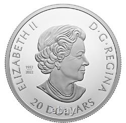 2023 CANADA $20 MAGIC of the SEASON 1oz. 9999 Pure Silver Glow-In-The-Dark Coin