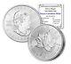 2023 Canadian Silver Maple Leaf Coins (5 Oz.) Invest Today