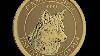 2024 10 Oz 99 99 Pure Gold Coin Red Fox Bullion