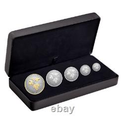2024 CANADA GOLD Playted SML Five. 9999 Pure Silver Coins Fractional Proof Set