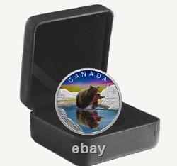 2024 Canada Wildlife Reflections Grizzly Bear 1 oz Silver Coin