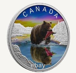 2024 Canada Wildlife Reflections Grizzly Bear 1 oz Silver Coin
