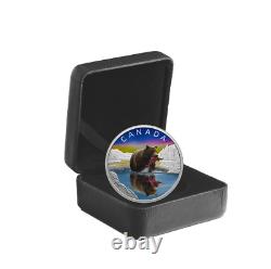 2024 Canada Wildlife Reflections Grizzly Bear 1 oz Silver Proof Coin