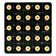 25 Gram (25 X 1 G) 2020 Maplegram25 Sheet Of Gold Coins