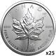 25 Oz 25 X 1 Oz 2019 Silver Maple Leaf Coin Rcm. 9999 Ag
