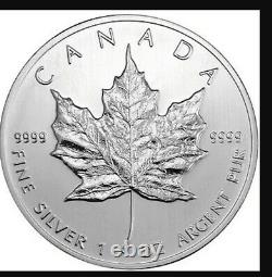 25x1 Oz. 9999 Silver 2013 Canadian Maple Leafs