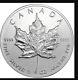 25x1 Oz. 9999 Silver 2013 Canadian Maple Leafs