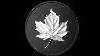 5 Oz Pure Silver Coin With Black Rhodium Plating Maple Leaves In Motion Mintage 2 000 2024